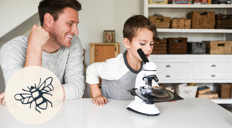 The Love of Learning Phase (Ages 8-12)